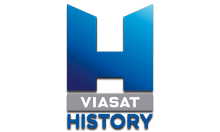 Viju history logo