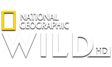 NatGeo Wild HD DE logo
